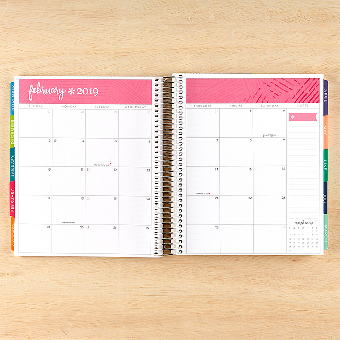 2018_dmp_layout_colorufl_4